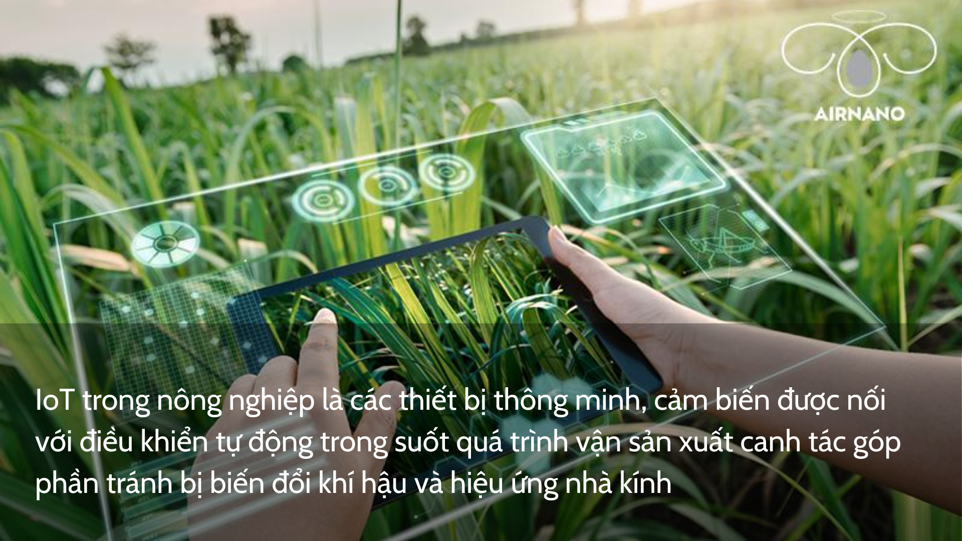 IoT trong nông nghiệp là gì?